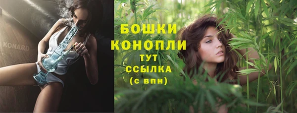 Альфа ПВП Почеп